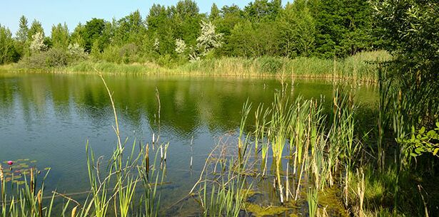 K-Plan Wasserwirtschaft und Umwelt